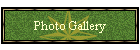 Photo Gallery